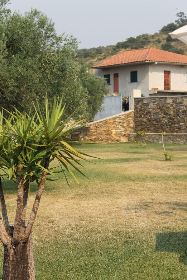Casal da Porta - Quinta da Porta Mirandela Exterior foto
